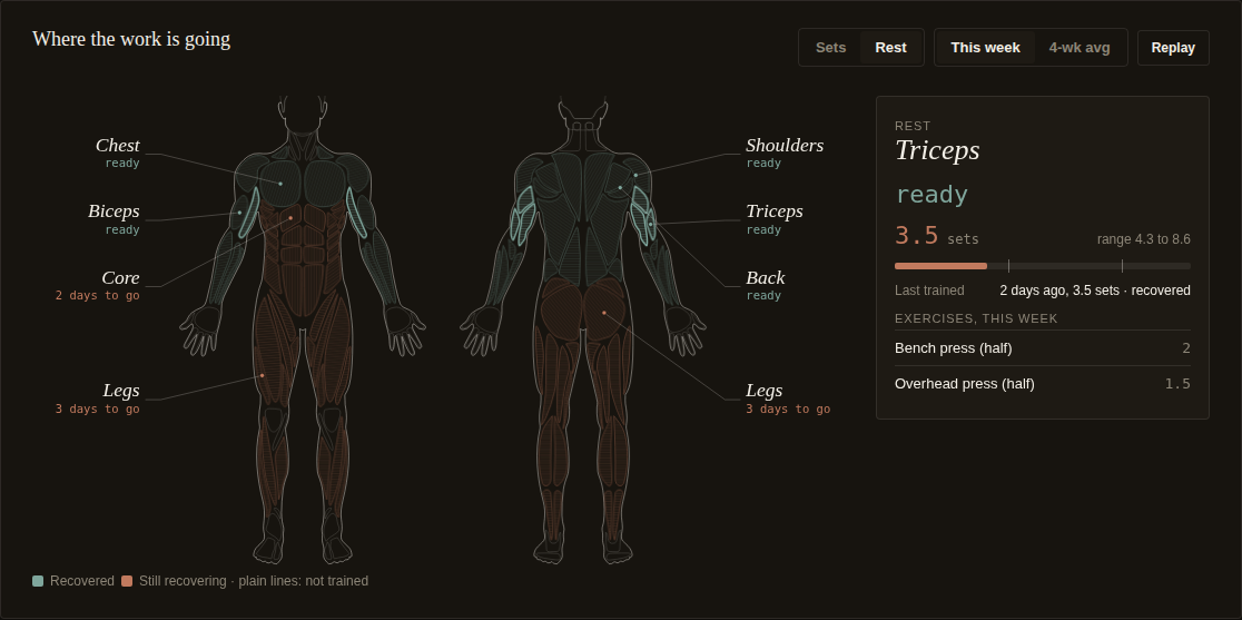 Body map